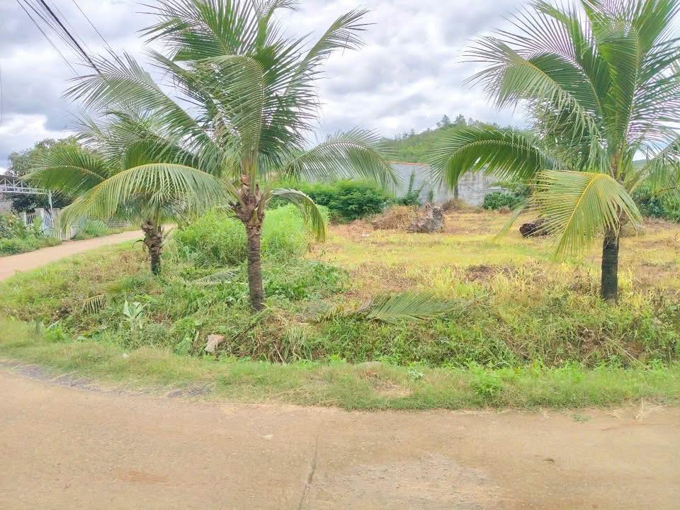 Đất nền 2 mặt tiền Nguyễn Bỉnh Khiêm 968.82m² giá 2.2 tỷ - Cơ hội đầu tư tuyệt vời!