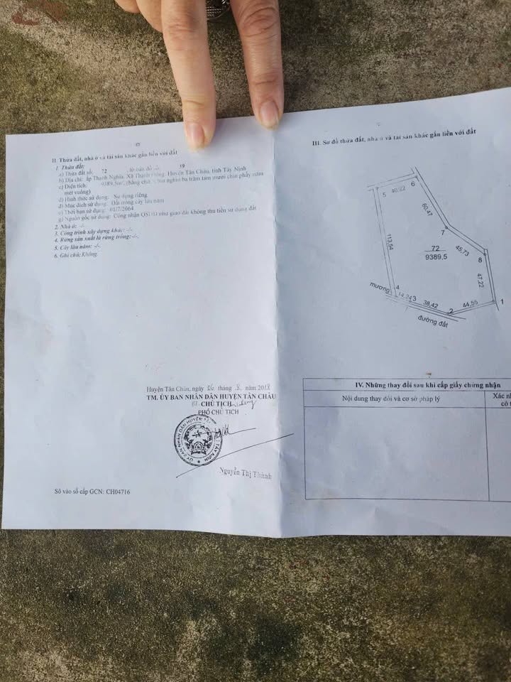 Đất nông nghiệp Tân Châu 10.000m² giá thỏa thuận - Cơ hội đầu tư sinh lời!