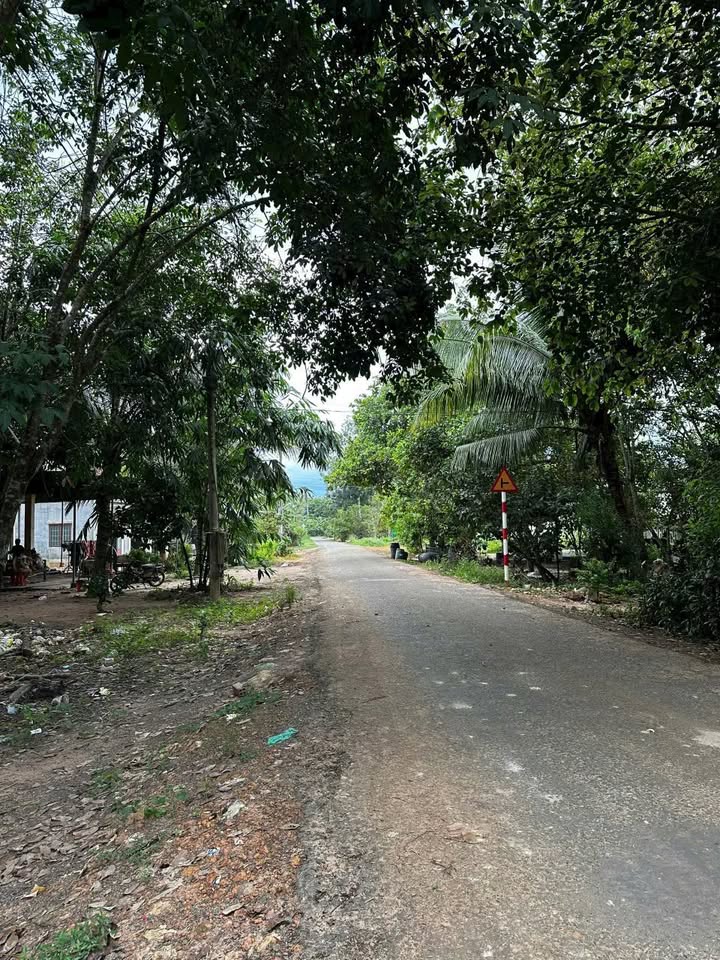 Đất Thổ Cư Thạnh An, Tân Biên 682m² giá 4.4 tỷ - Mặt tiền đường nhựa!