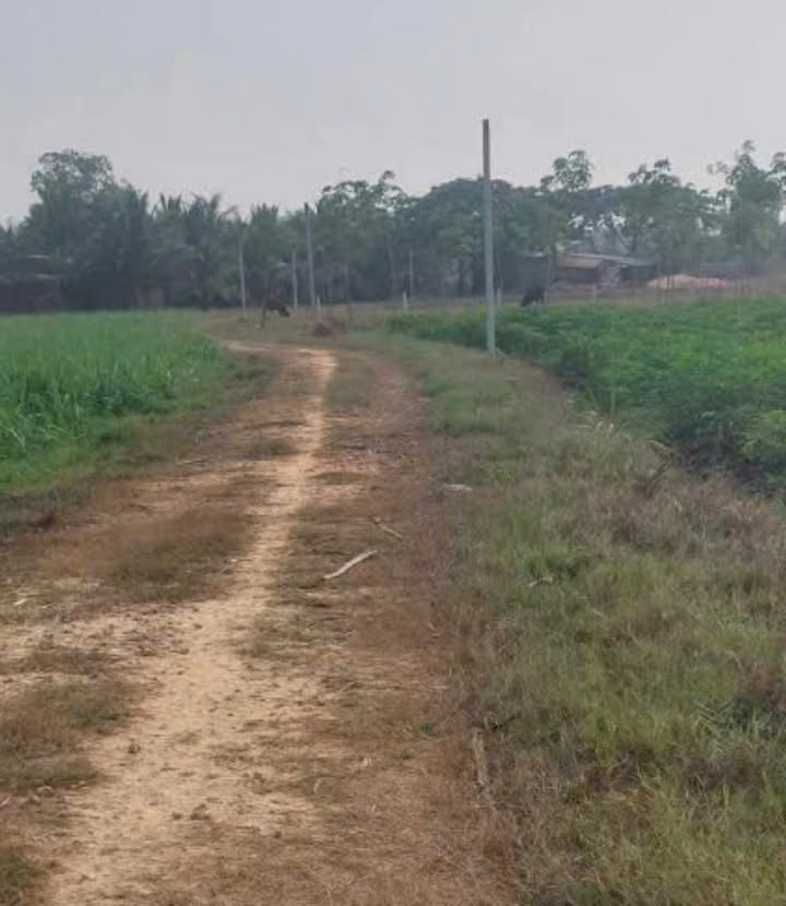 Đất nền 1000m² tại ấp Sân Bay, Tân Phong - Giá chỉ 199 triệu, đầu tư lý tưởng!