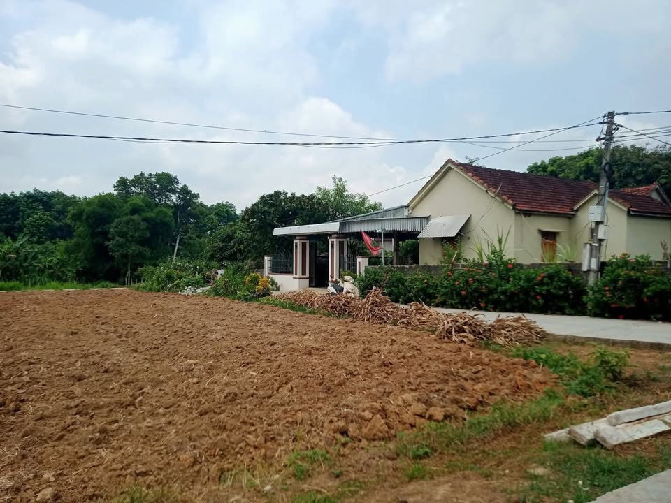 Đất nền Xóm Hồng Phúc, Nghĩa Đàn 267,5m² - Sổ đỏ chính chủ, giá thỏa thuận!