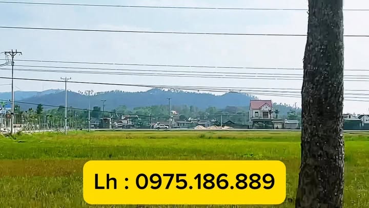 Đất đấu giá Diễn Lâm, Diễn Châu 223.25m² giá 1 tỷ - Chính chủ bán gấp!