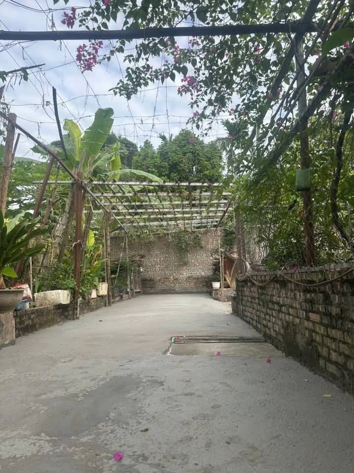 Đất nền Vân Nội 78.1m² giá 5.467 tỷ - Hướng Tây, ô tô vào tận nơi!