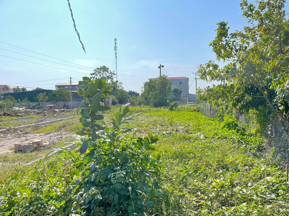 Đất nền Dương Quang, Mỹ Hào 100m² giá 2.9 tỷ - Đối diện trường mầm non, ô tô tránh nhau!