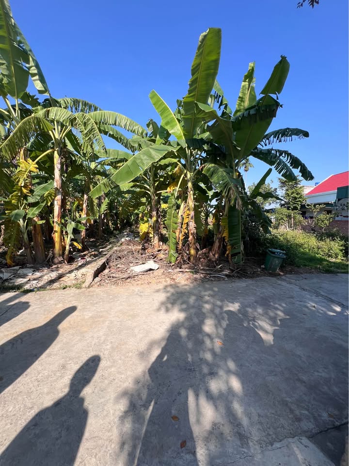 Đất nền Lâm Động, Thủy Nguyên 100m² giá 1.7 tỷ - Sổ đỏ chính chủ, đầu tư sinh lời!