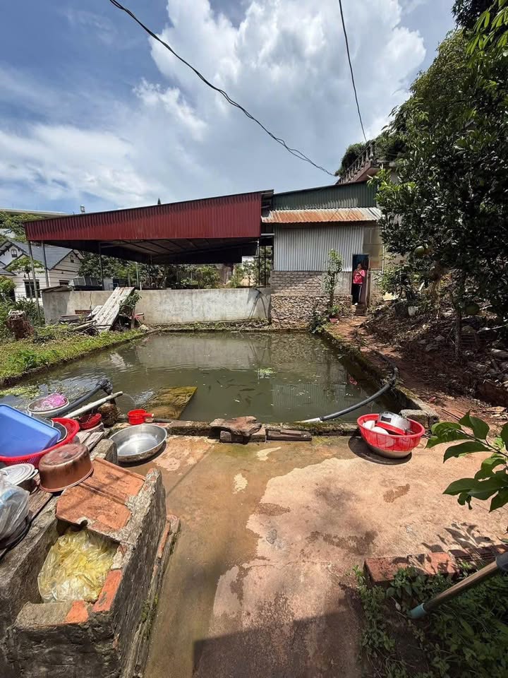 Đất nền Mộc Châu 1468m² - Tiềm năng làm homestay nghỉ dưỡng!