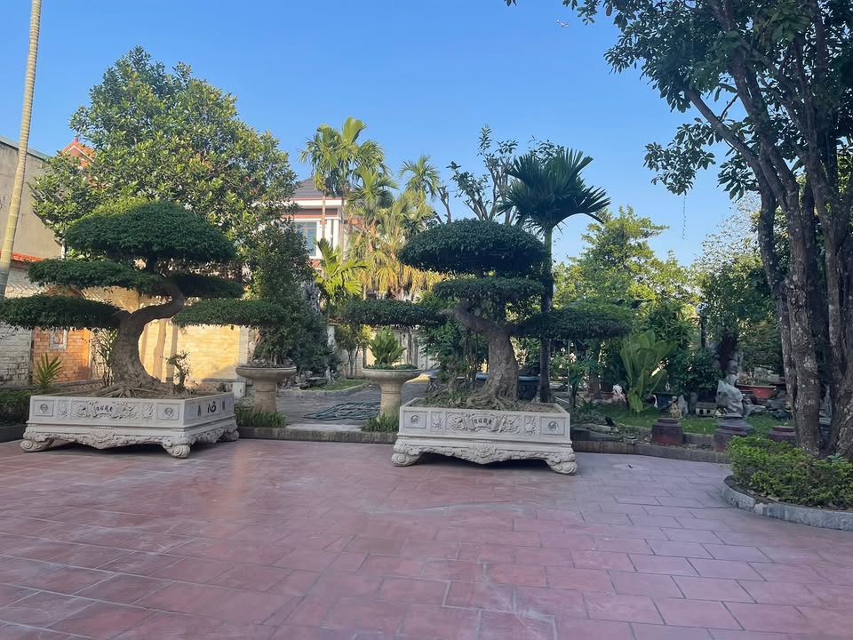 Đất nền Phù Lỗ, Sóc Sơn 108.8m² giá 3x triệu - Cơ hội đầu tư lý tưởng!