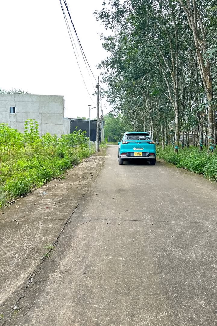 Đất thổ cư An Viễn Trảng Bom 1000m² giá 4.8 tỷ - Đầu tư sinh lời cao!