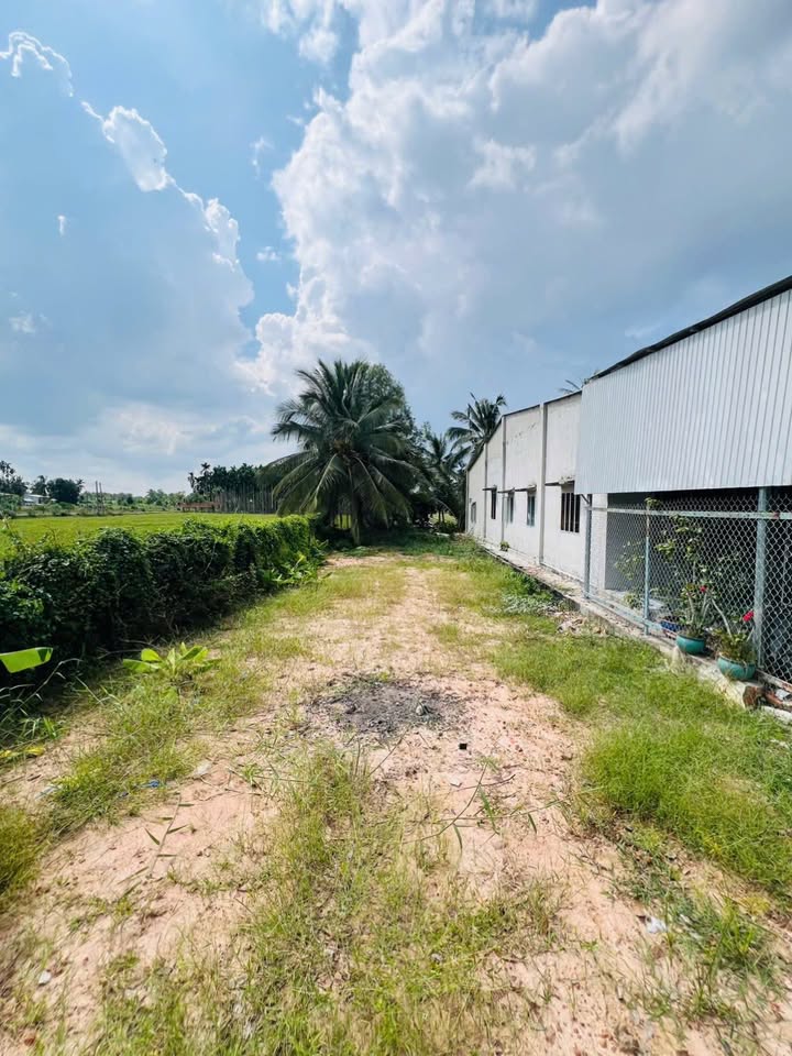 Đất thổ cư 343m² tại Thanh An, Châu Thành - Giá chỉ 800 triệu VND, cơ hội đầu tư tốt!