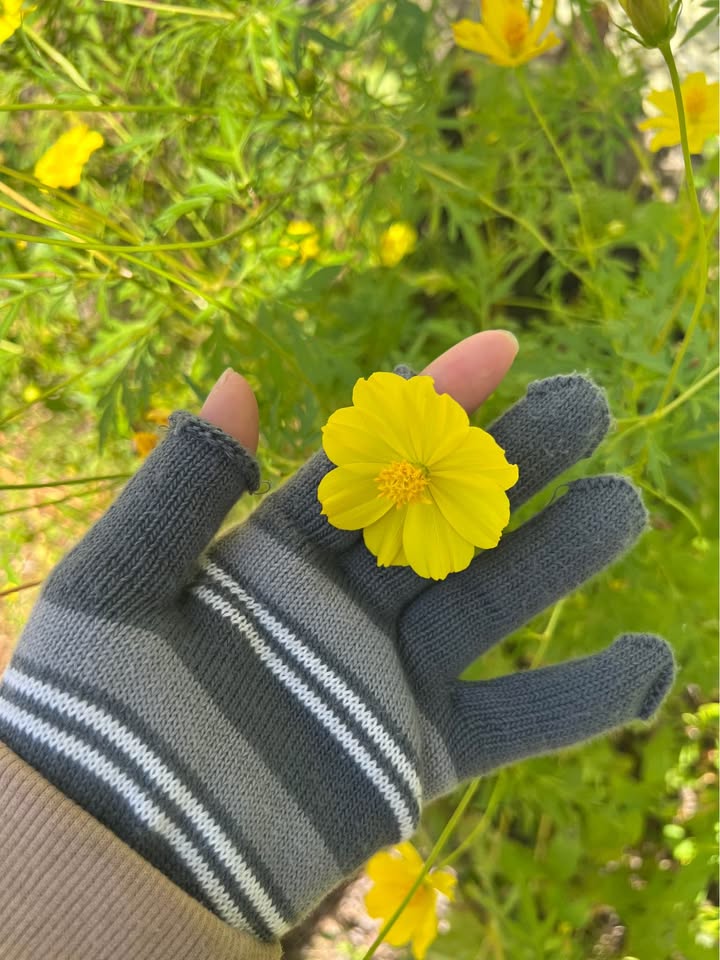 Đất nền mặt tiền Quốc lộ 22B, phường Thanh Điền, 1350m² giá 9 tỷ - Đầu tư lý tưởng!