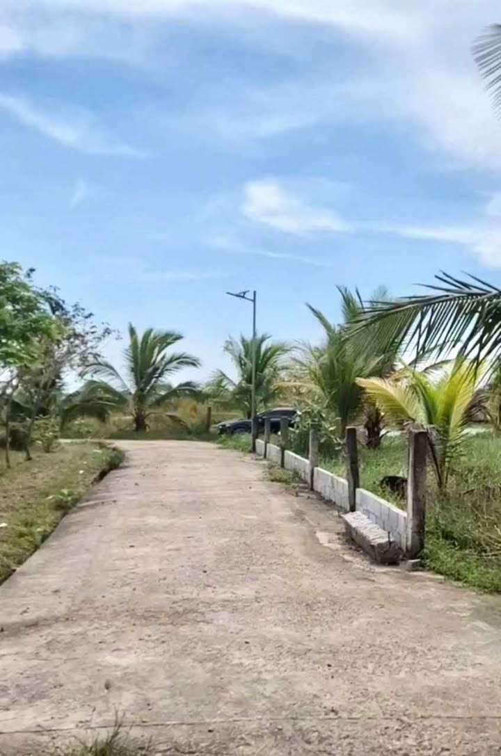 Đất thổ cư 164m² tại Hàm Chính, Hàm Thuận Bắc chỉ 410 triệu - Cơ hội đầu tư tuyệt vời!