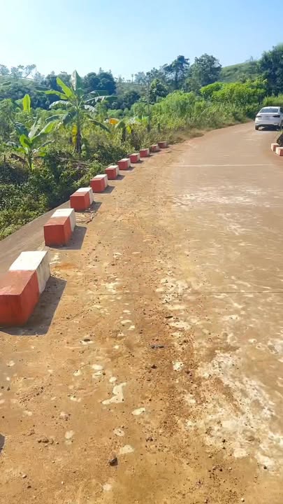 Farm đất Mỹ Thuận Tân Sơn 5200m² giá thỏa thuận - Mặt tiền 60m, cây ăn quả trĩu quả