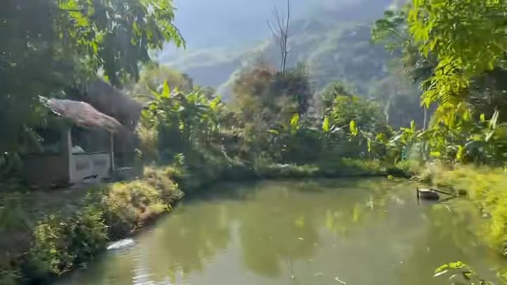 Đất Farm Tại Phù Lưu, Hàm Yên 1ha - Đầu Tư Sinh Lời Ngay!