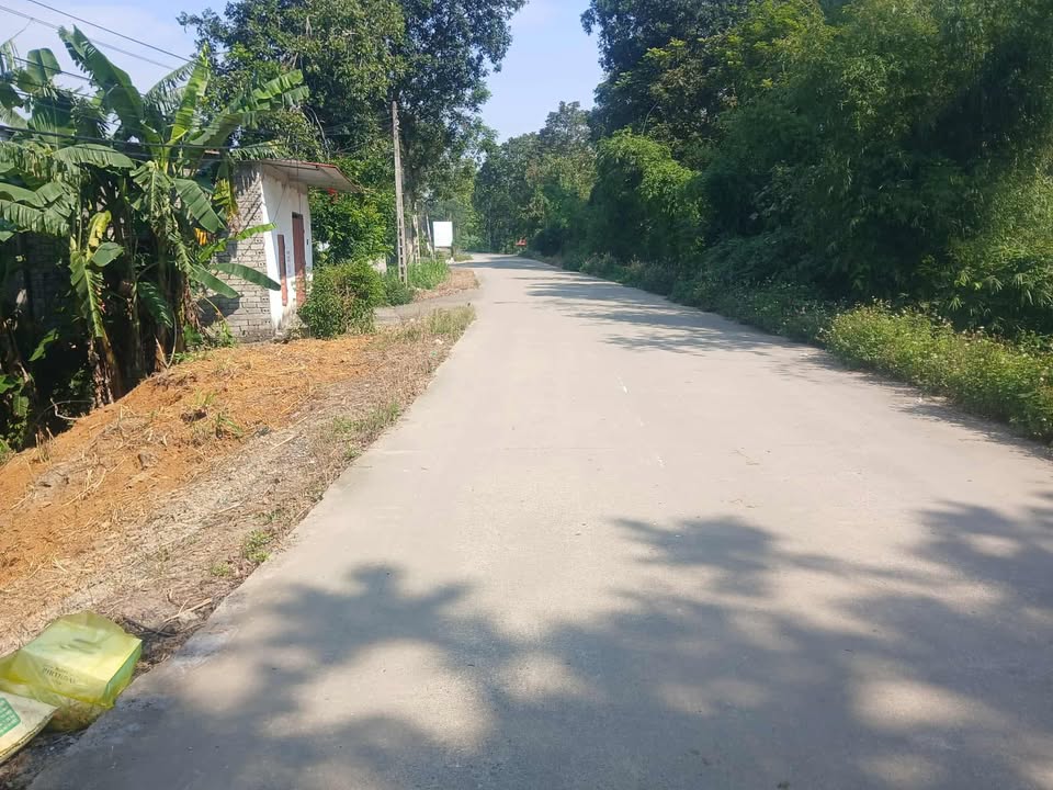 Đất nền thôn 4 xã Quý Lộc 200m² giá thỏa thuận - Cơ hội đầu tư hấp dẫn!