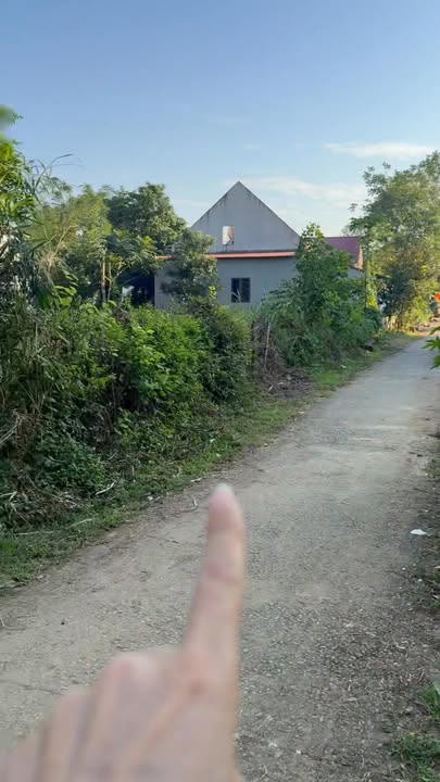 Đất nền xã Tây Đô, Yên Định, 393m² giá 300 triệu - Cơ hội đầu tư tuyệt vời!