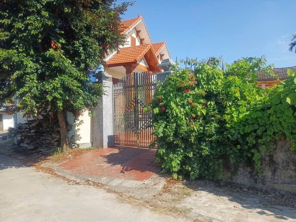 Đất nền Thủy Nguyên 384m² giá thỏa thuận - Cơ hội đầu tư hiếm có!