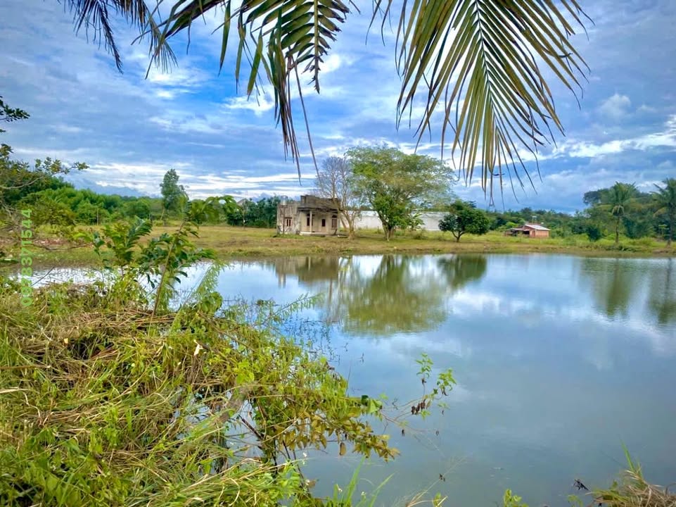 Đất nền Xuân Trường, Đồng Nai 3.500m² giá 1.9 tỷ - Cơ hội đầu tư tuyệt vời!