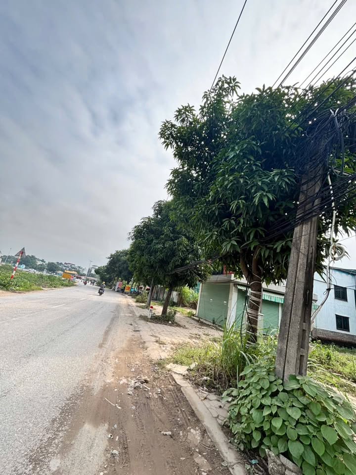 Lô đất dịch vụ 70m² tại Vân Canh - Giá 19 tỷ, sổ đỏ chính chủ!