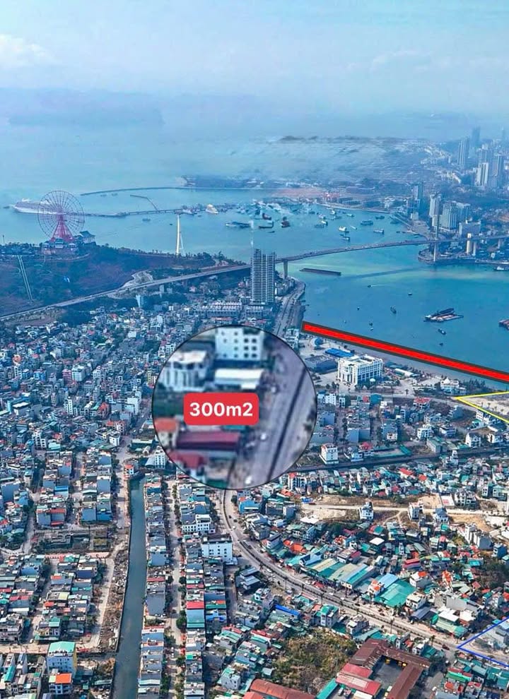 Đất biệt thự Trần Thái Tông Hạ Long 300m² - Vị trí đắc địa, giá thỏa thuận!