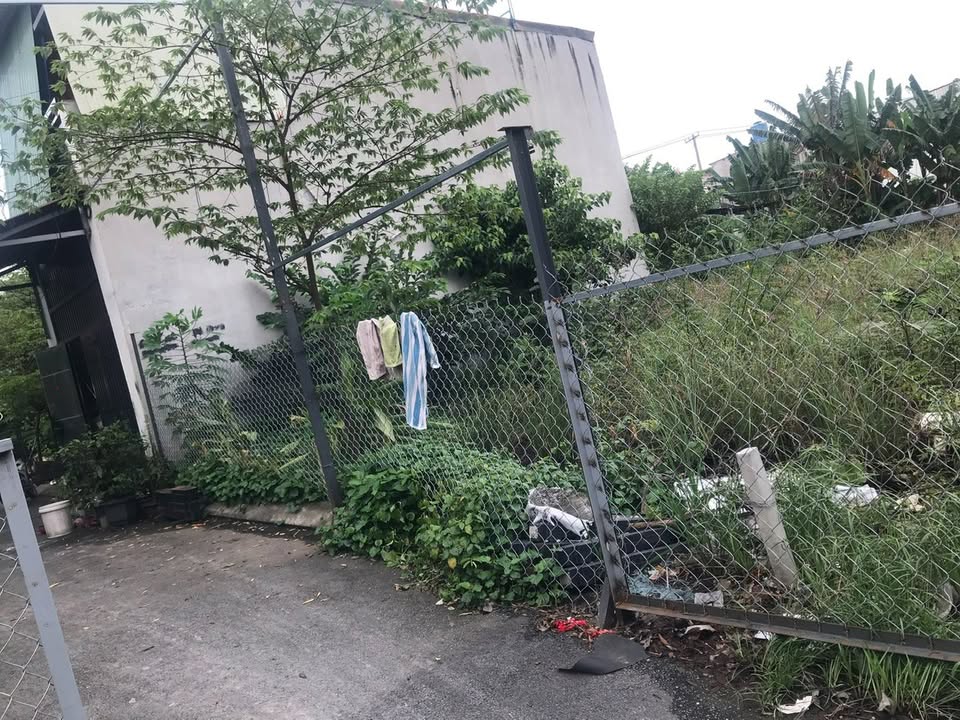 Đất nền Bình Chánh 272m² giá 6.18 tỷ - Vị trí đẹp, thuận tiện kinh doanh!