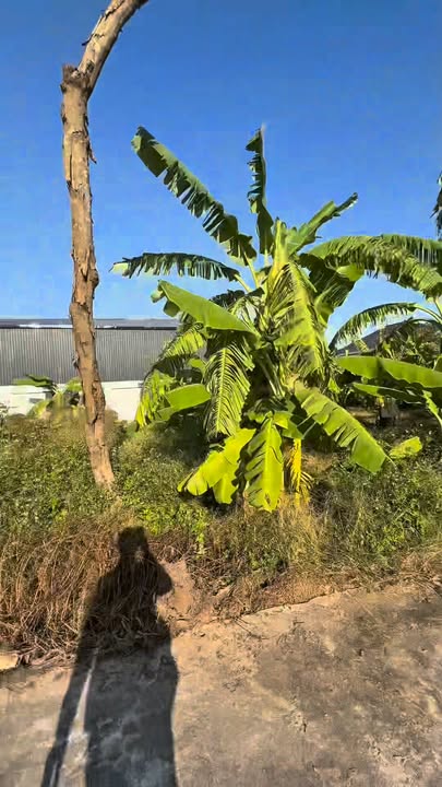 Đất Thọ Nghiệp 160m² giá thỏa thuận - Mặt tiền 13m, sổ hồng đầy đủ!