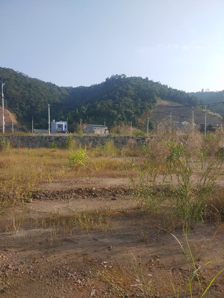 Đất nền KĐT Phú Long Lào Cai 112.2m² giá 1.5 tỷ - Cơ hội đầu tư hấp dẫn!