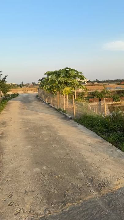 Đất nền 136m² tại Phú Dư, Gia Bình - Giá chỉ 2.1 tỷ, cơ hội vàng cho nhà đầu tư!