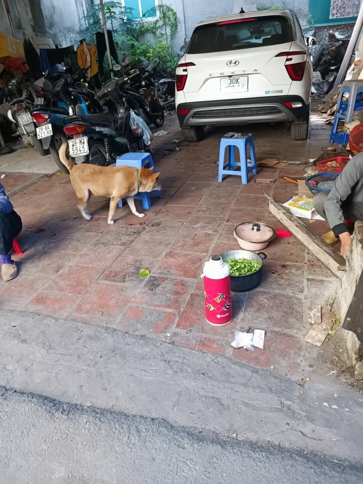 Nhà riêng Ngã Tư Sở 100m² giá 20 tỷ - Mặt ngõ ô tô, sổ đỏ chính chủ!