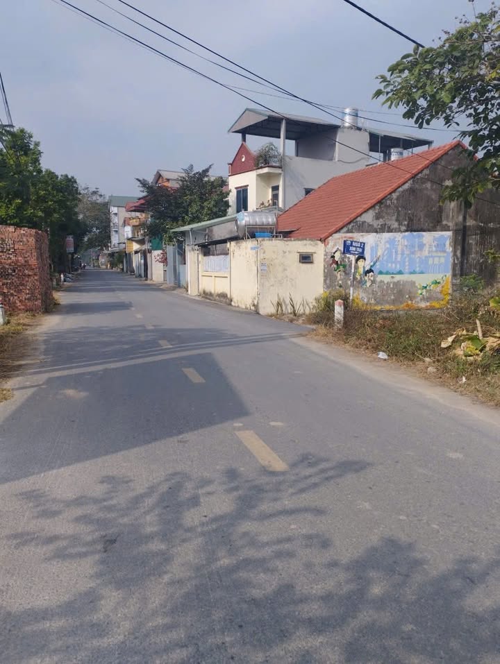 Lô đất 50m² tại Xóm Trại - Thanh Mai - Giá chỉ 5 triệu/m², pháp lý rõ ràng!