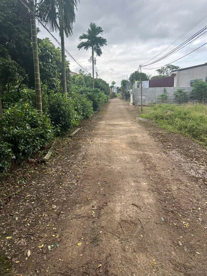 Đất nền Ea Kao 1050m² giá chỉ 4.15 tỷ - Vị trí tiềm năng phát triển!