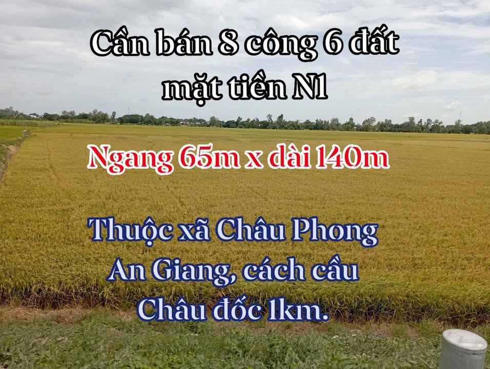 Đất thổ cư 8.6ha mặt tiền đường N1, xã Châu Phong - Cơ hội đầu tư hấp dẫn!