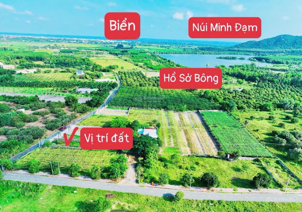 Đất nền Phước Hải 258m² giá 2.5 tỷ - Gần hồ Sở Bông, đầu tư lý tưởng!