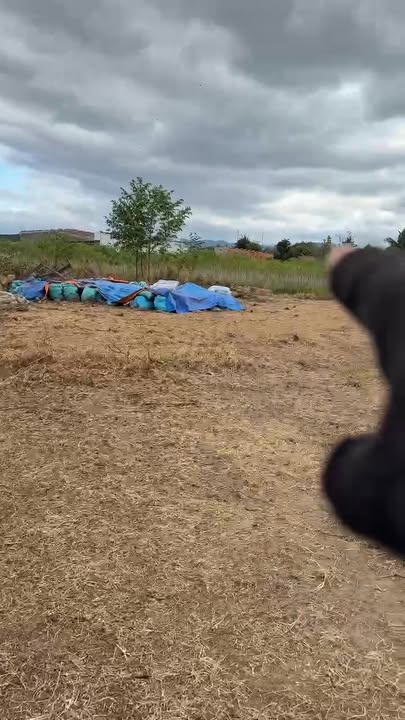 Đất nền đường quy hoạch số 10, xã Đắk Ring, diện tích 264m² - Giá thương lượng hấp dẫn!