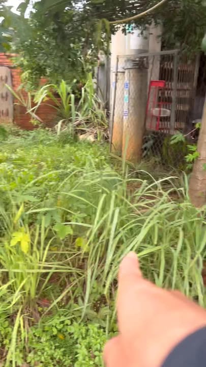 Đất nền mặt tiền Quốc lộ 14, Bình Tân, Cư Jút - Diện tích 72m² giá 1.65 tỷ, thương lượng nhẹ!