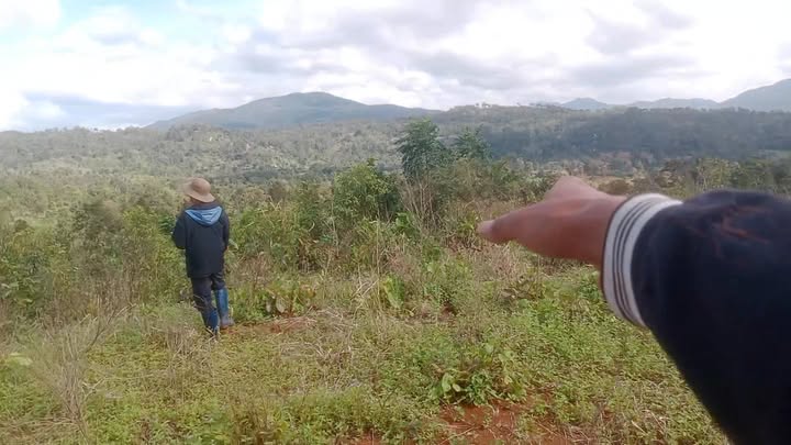 Đất Farm Kon Chiêng 80000m² giá 450 triệu - Cơ hội đầu tư hấp dẫn!