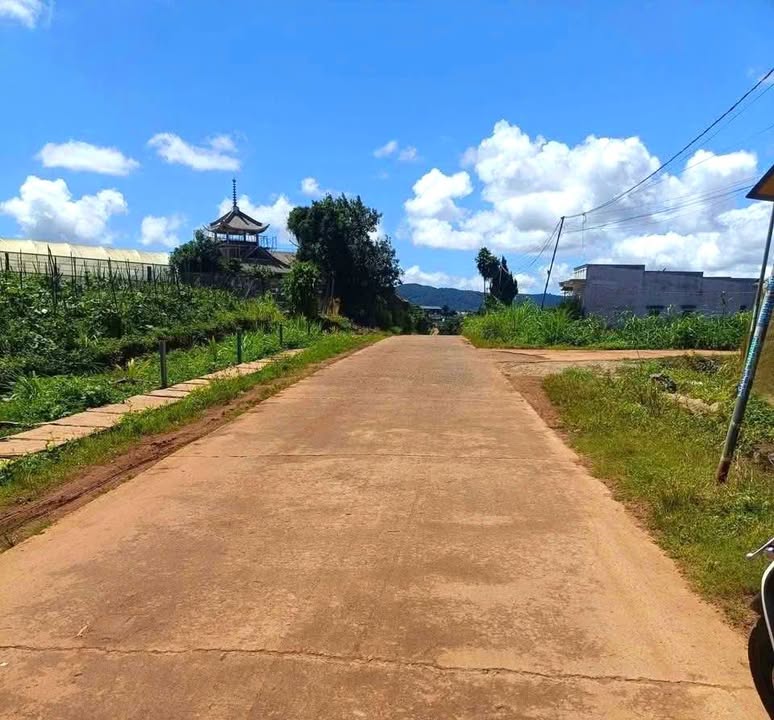 Đất nền đường số 8 Quảng Lập, Đơn Dương, Lâm Đồng - Đầu tư sinh lời chỉ từ 470 triệu!