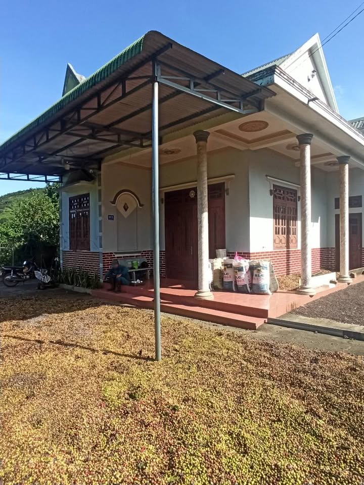 Đất nền Bảo Lộc 881m² giá 5.5 tỷ - Chính chủ bán gấp!