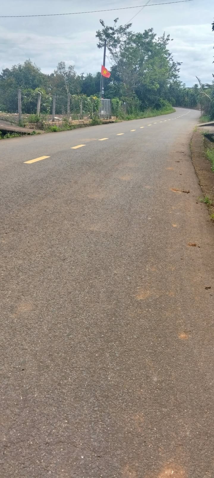 Đất nền mặt tiền đường nhựa Hòa Ninh 600m² giá 1.5 tỷ - Cơ hội đầu tư vàng!