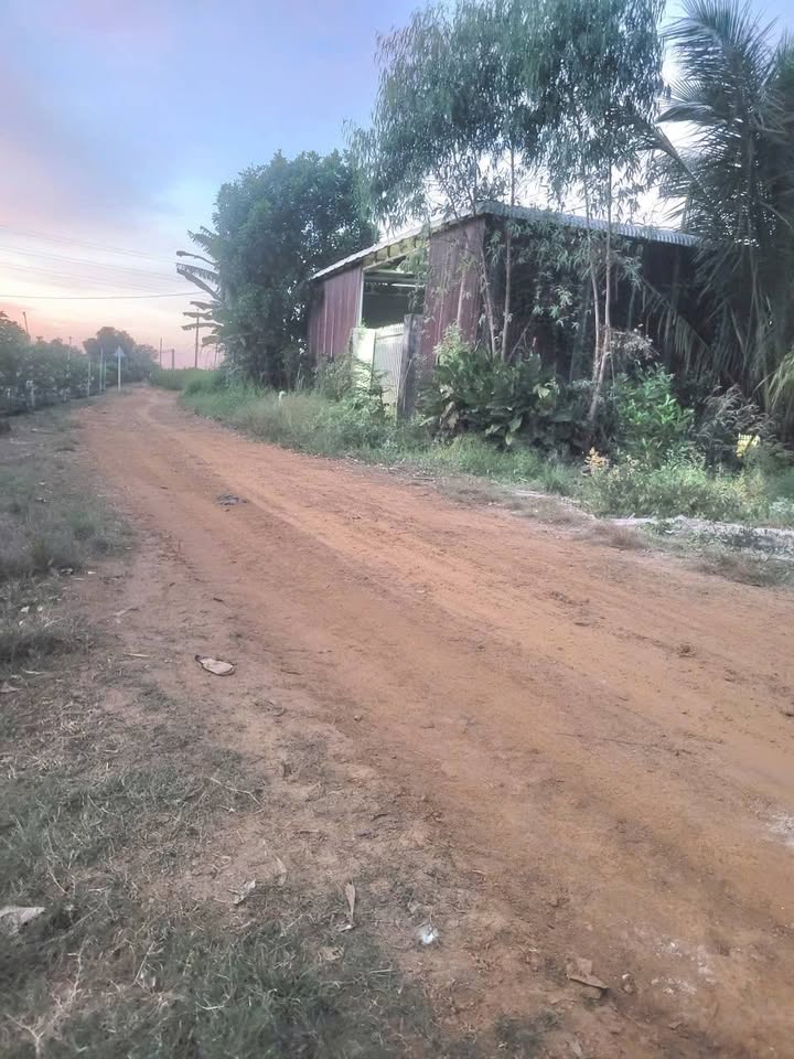 Đất nền Trà Hiệp, Tân Biên 155m² giá 240 triệu - Đầu tư sinh lời hấp dẫn!