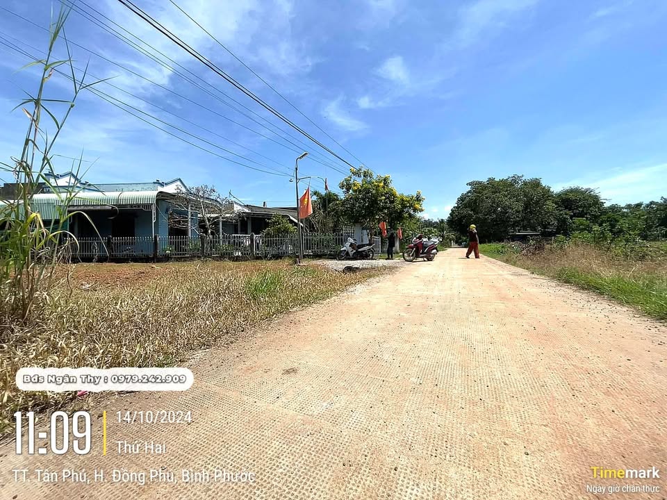 Đất thổ cư 494m² ấp Dên Dên, Tân Phú, Bình Phước - Giá chỉ 700 triệu!