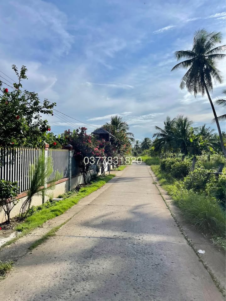 Đất nền mặt tiền ĐAL, 100m² giá 230 triệu - Đầu tư sinh lời ngay!