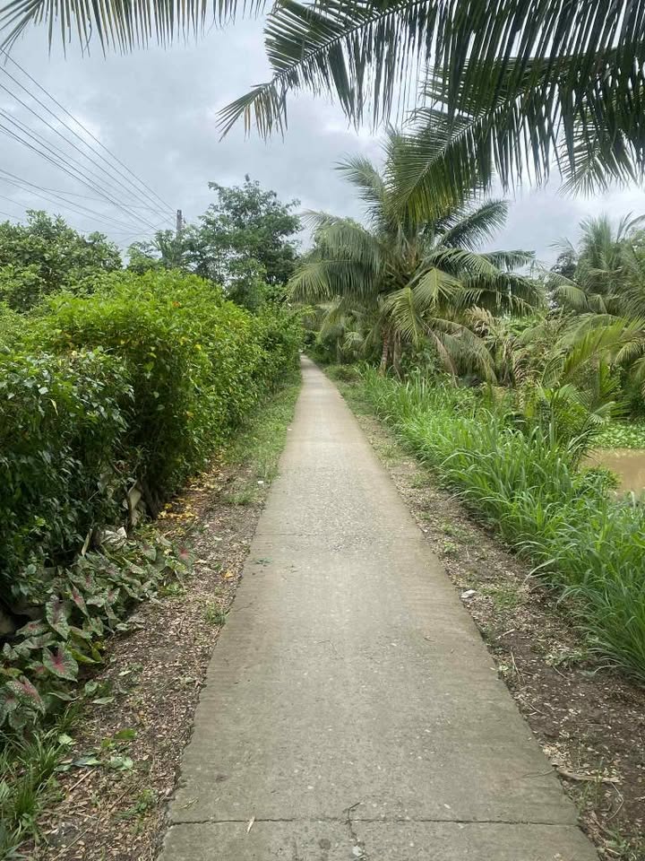 Đất nền Hòa Lợi, Châu Thành, Trà Vinh 112m² giá 230 triệu - Cơ hội đầu tư tuyệt vời!