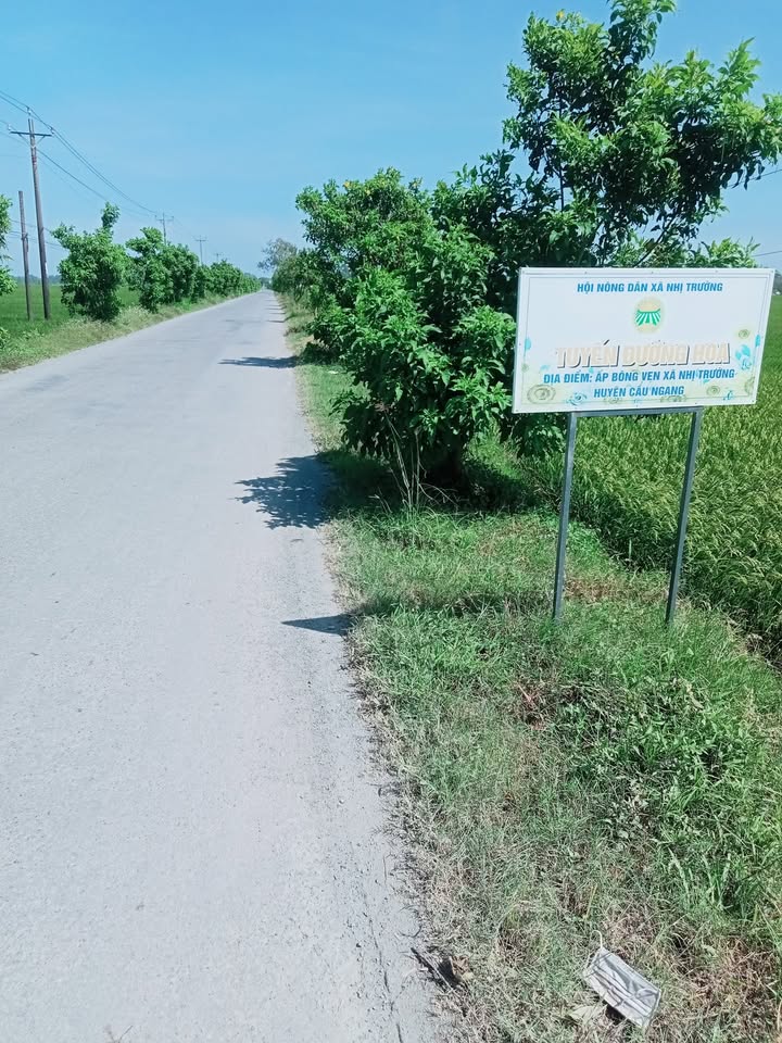 Đất mặt tiền đường HL17, xã Nhị Trường, 1750m² giá 1.2 tỷ - Cơ hội đầu tư hấp dẫn!