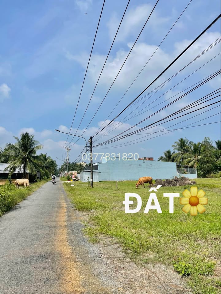 Đất mặt tiền nhựa phường Long Đức 275m² giá chỉ từ 400 triệu - Hỗ trợ vay ngân hàng!