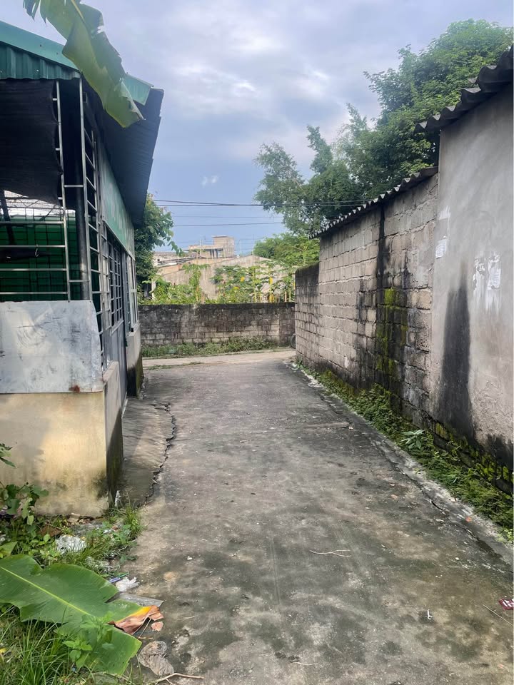 Đất thổ cư Tân Hà Tuyên Quang 80m² - Vị trí đẹp, đường thông ô tô