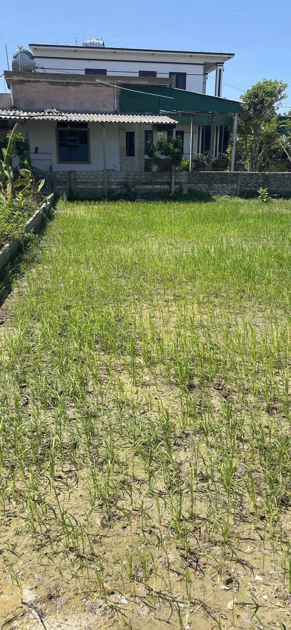 Đất nền Nghi Phong Vinh 123m² giá 2.6 tỷ - Kết nối tiện ích hoàn hảo!