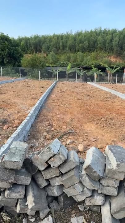 Đất nền Thành Công, Phổ Yên 125m² giá 500 triệu - Vị trí đẹp nhất khu vực!