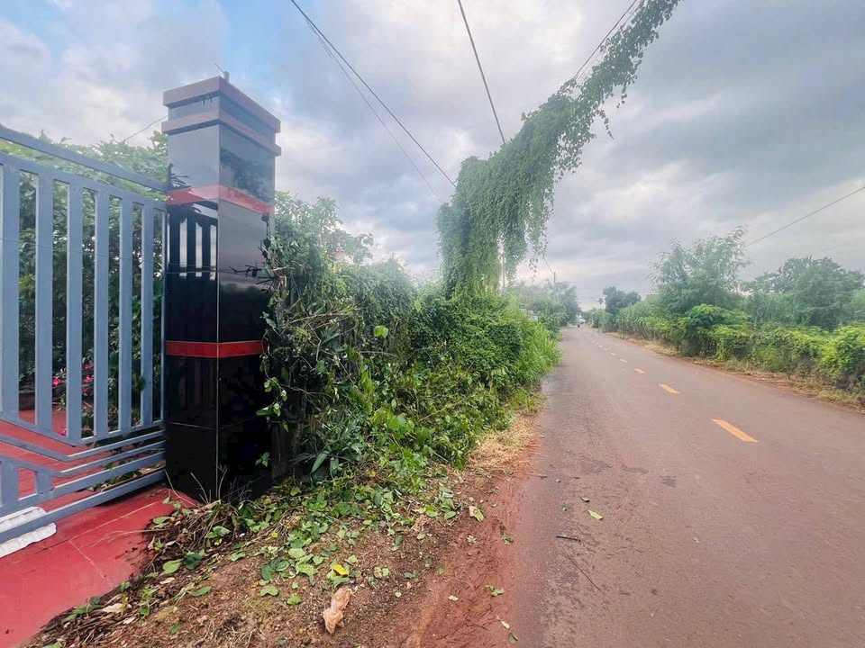 Đất nền Hòa Hiệp Xuyên Mộc 456m² giá 2.5 tỷ - Mặt tiền nhựa lớn, cơ hội đầu tư tuyệt vời!