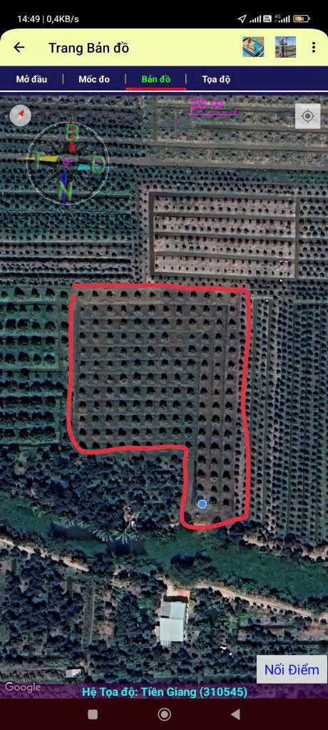 Vườn sầu riêng 6000m² Hậu Mỹ Phú - Cơ hội đầu tư tuyệt vời chỉ 600 triệu!