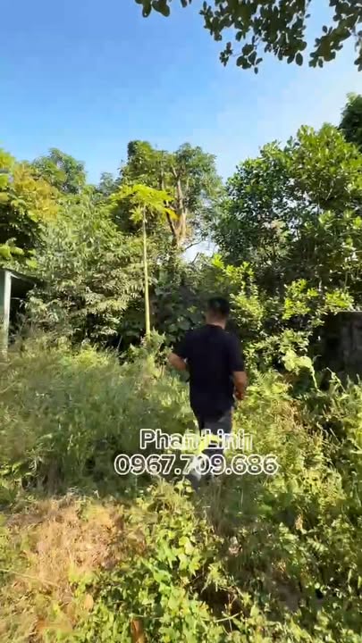 Nhà vườn Yên Bài, Ba Vì 612m² - Thiết kế đẹp, đầy đủ tiện ích